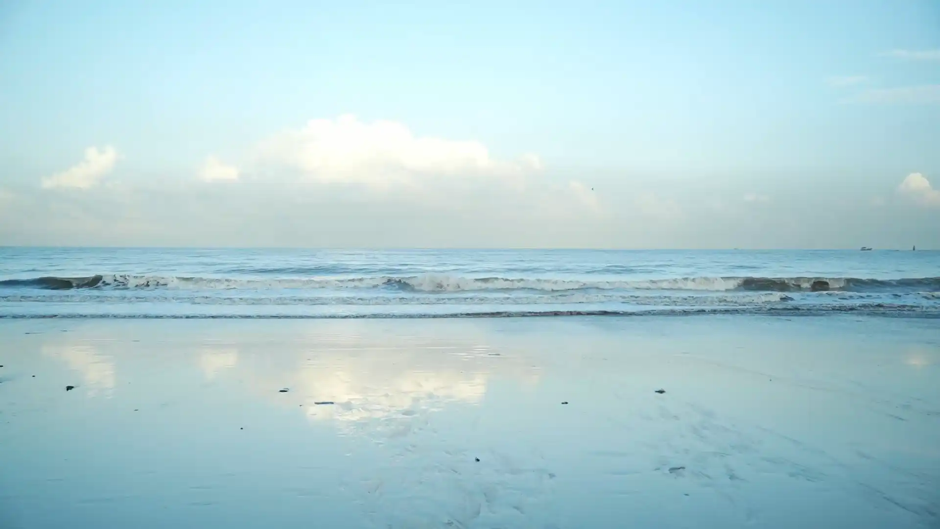 TANVI AND PIYUSH PRE-WEDDING VIDEO